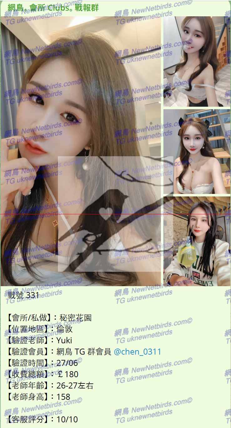 戰號 331 1.png